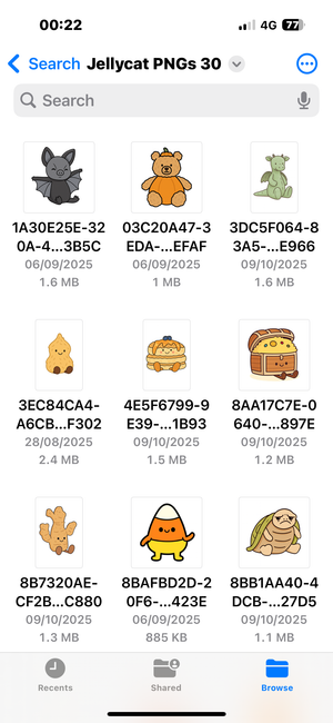 Descriptive image text