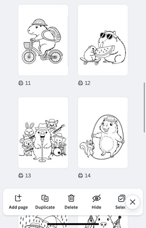 Descriptive image text