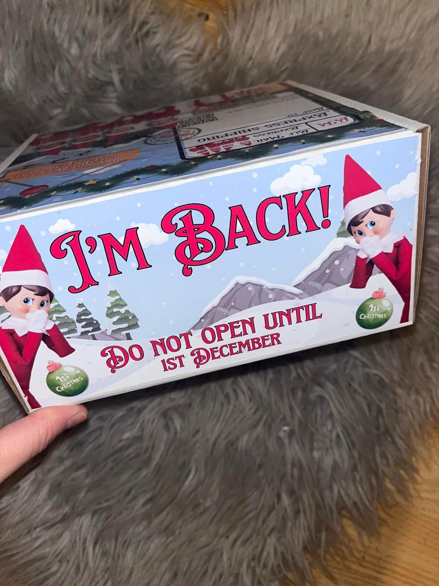 Elf Mail Express Box Printable – Naughty or Nice Christmas Elf Delivery Box PDF